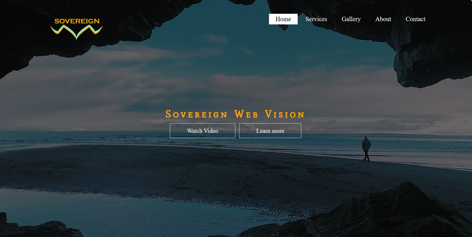 Web Vision img